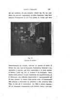 giornale/CAG0050194/1918/unico/00000181