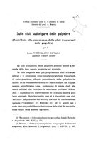 giornale/CAG0050194/1919/unico/00000113