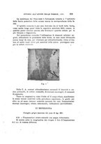 giornale/CAG0050194/1919/unico/00000239