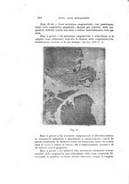 giornale/CAG0050194/1919/unico/00000240