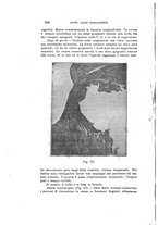 giornale/CAG0050194/1919/unico/00000244