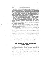 giornale/CAG0050194/1919/unico/00000284