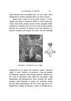 giornale/CAG0050194/1920/unico/00000035