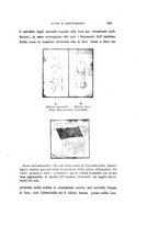 giornale/CAG0050194/1920/unico/00000155