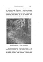 giornale/CAG0050194/1920/unico/00000157