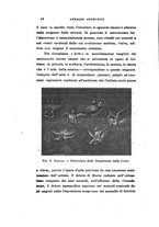giornale/CAG0050194/1921/unico/00000032