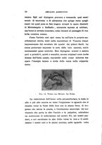 giornale/CAG0050194/1921/unico/00000038