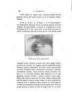 giornale/CAG0050194/1925/unico/00000028