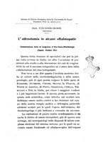 giornale/CAG0050194/1925/unico/00000163