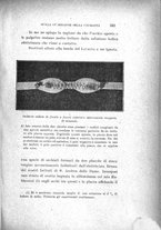 giornale/CAG0050194/1925/unico/00000375