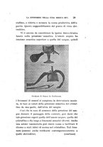 giornale/CAG0050194/1926/unico/00000043