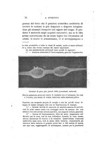 giornale/CAG0050194/1926/unico/00000076