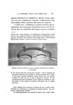 giornale/CAG0050194/1926/unico/00000077