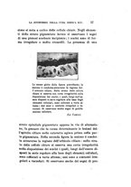 giornale/CAG0050194/1926/unico/00000083