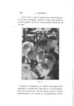 giornale/CAG0050194/1926/unico/00000590