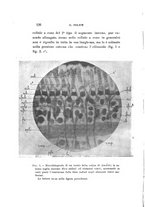 giornale/CAG0050194/1928/unico/00000168