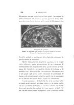giornale/CAG0050194/1928/unico/00000466