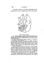 giornale/CAG0050194/1928/unico/00000658