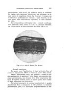 giornale/CAG0050194/1930/unico/00000341