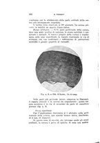 giornale/CAG0050194/1930/unico/00000342