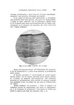 giornale/CAG0050194/1930/unico/00000343