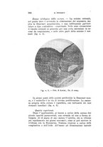 giornale/CAG0050194/1930/unico/00000344