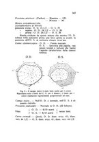 giornale/CAG0050194/1931/unico/00000379