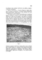 giornale/CAG0050194/1931/unico/00000577