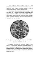 giornale/CAG0050194/1933/unico/00000115