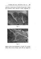 giornale/CAG0050194/1933/unico/00000177