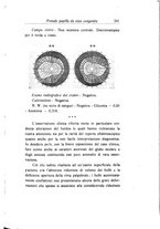giornale/CAG0050194/1933/unico/00000267