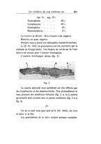 giornale/CAG0050194/1933/unico/00000503