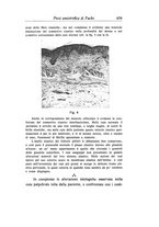 giornale/CAG0050194/1933/unico/00000521