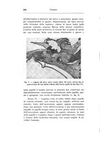 giornale/CAG0050194/1937/unico/00000260