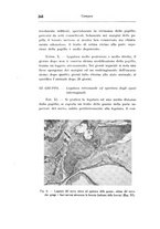 giornale/CAG0050194/1937/unico/00000288