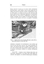 giornale/CAG0050194/1937/unico/00000290