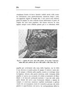 giornale/CAG0050194/1937/unico/00000294