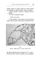 giornale/CAG0050194/1938/unico/00000127