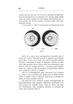 giornale/CAG0050194/1939/unico/00000104