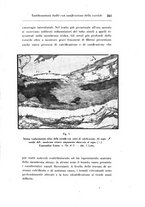 giornale/CAG0050194/1939/unico/00000359