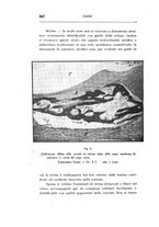 giornale/CAG0050194/1939/unico/00000360