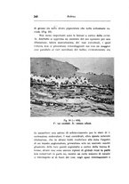 giornale/CAG0050194/1942/unico/00000296