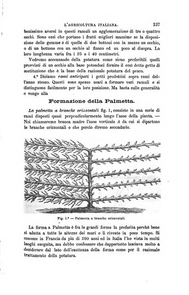 L'agricoltura italiana periodico mensile