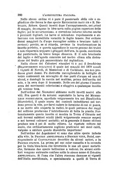 L'agricoltura italiana periodico mensile