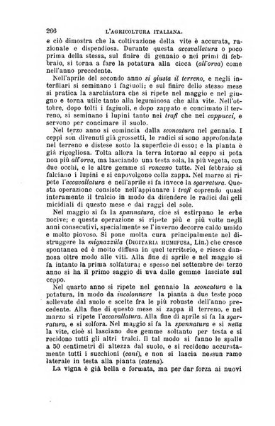 L'agricoltura italiana periodico mensile