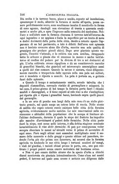 L'agricoltura italiana periodico mensile