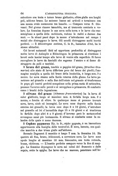 L'agricoltura italiana periodico mensile