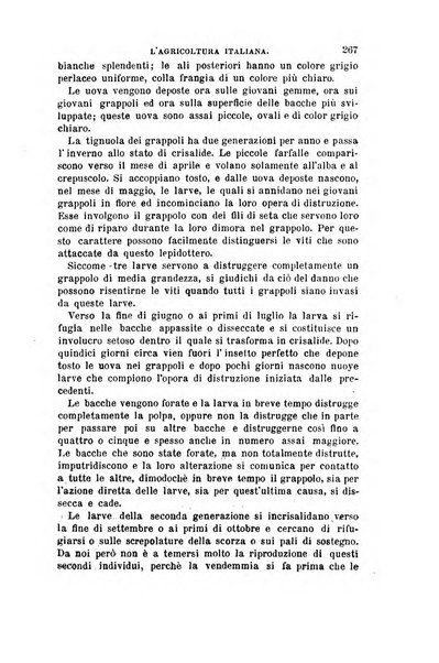 L'agricoltura italiana periodico mensile