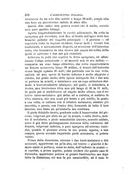 L'agricoltura italiana periodico mensile