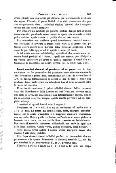 L'agricoltura italiana periodico mensile